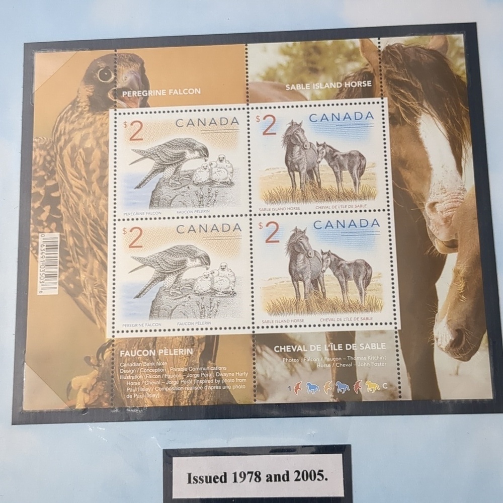 Peregrine Falcon Stamp Collection - Picture 4 of 6